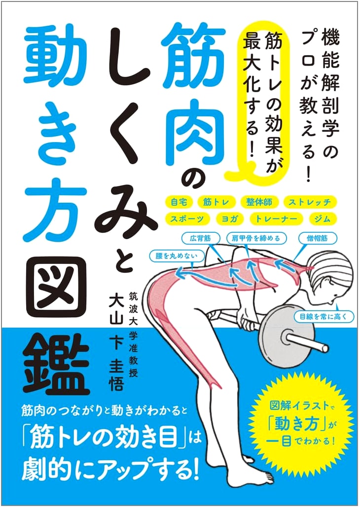 Maximize Your Strength Training: An Illustrated Guide to Muscle Anatomy and Movement
