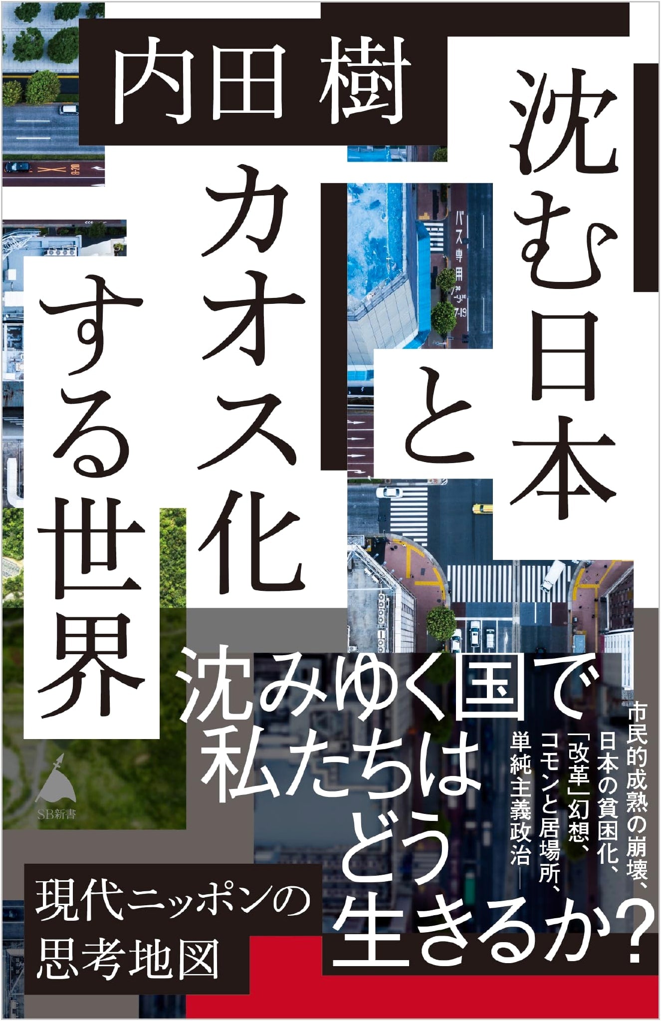 Sinking Japan and a World Descending into Chaos by Tatsuru Uchida