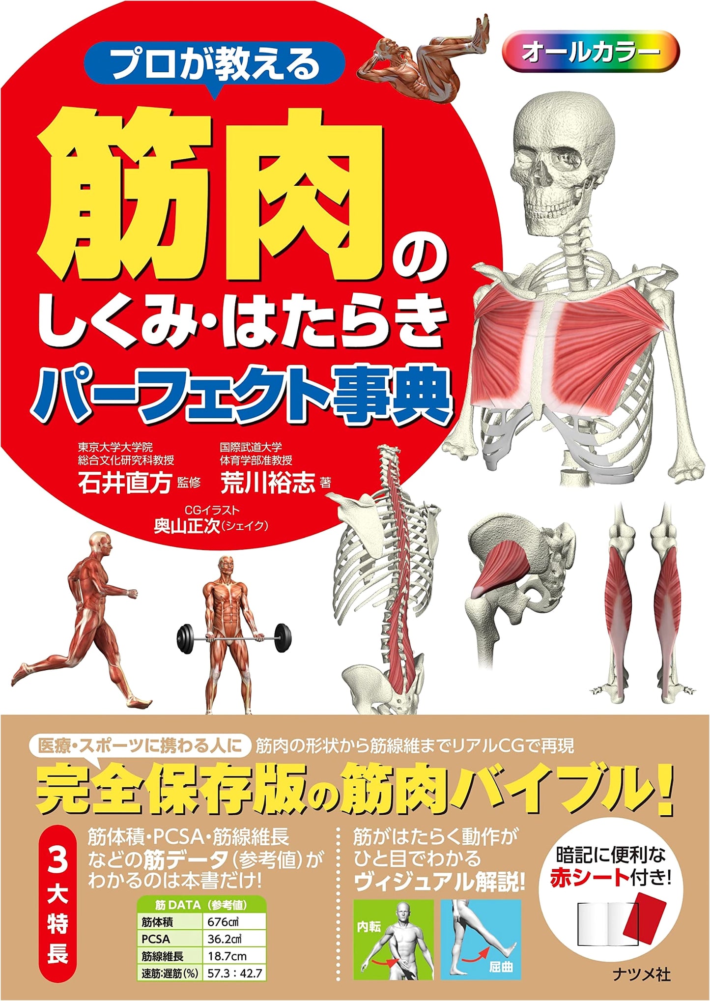 The Professional's Guide to Muscle Anatomy and Function by Hiroshi Arakawa