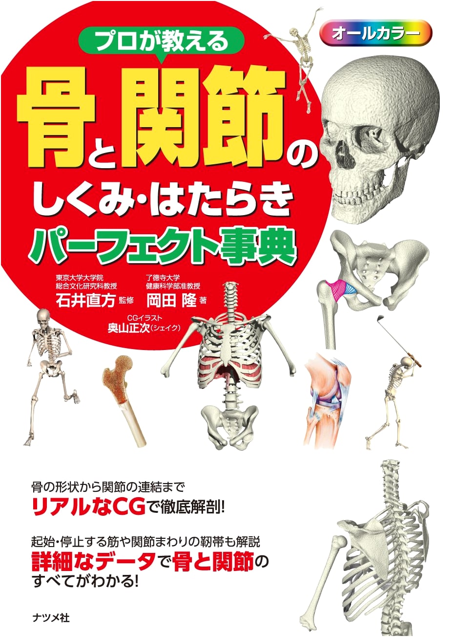 The Professional's Guide to Bones and Joints: Structure and Function
