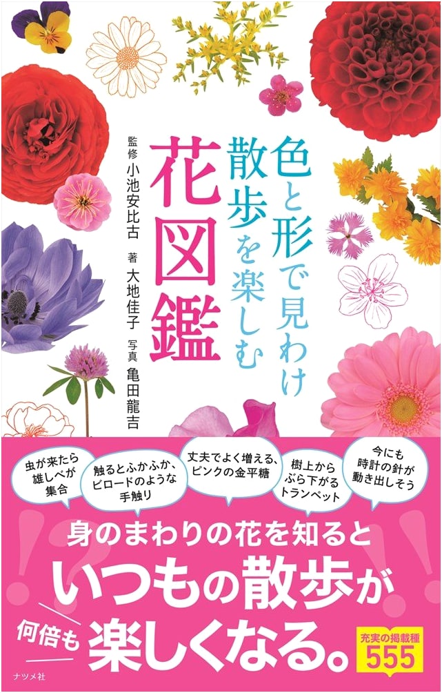 Illustrated Guide to Enjoying Walks: Identifying Flowers by Color and Shape
