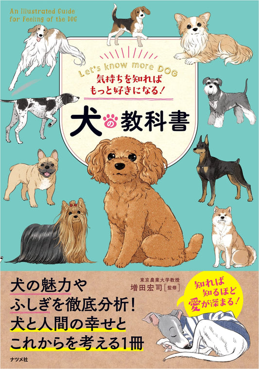 Understand Your Dog Better: A Textbook for Deeper Connection