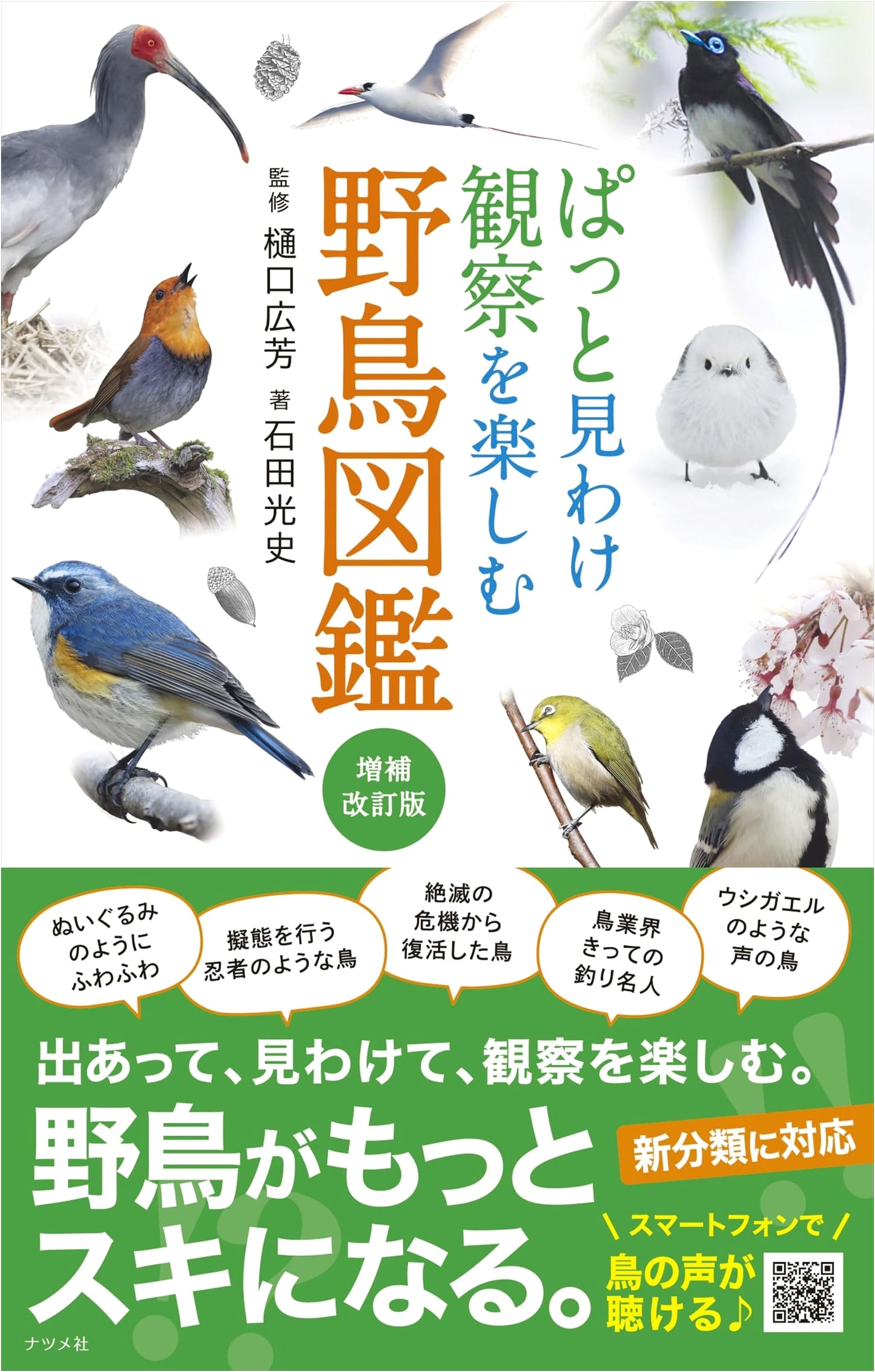 A Quick Guide to Birdwatching: A Field Guide by Koji Ishida