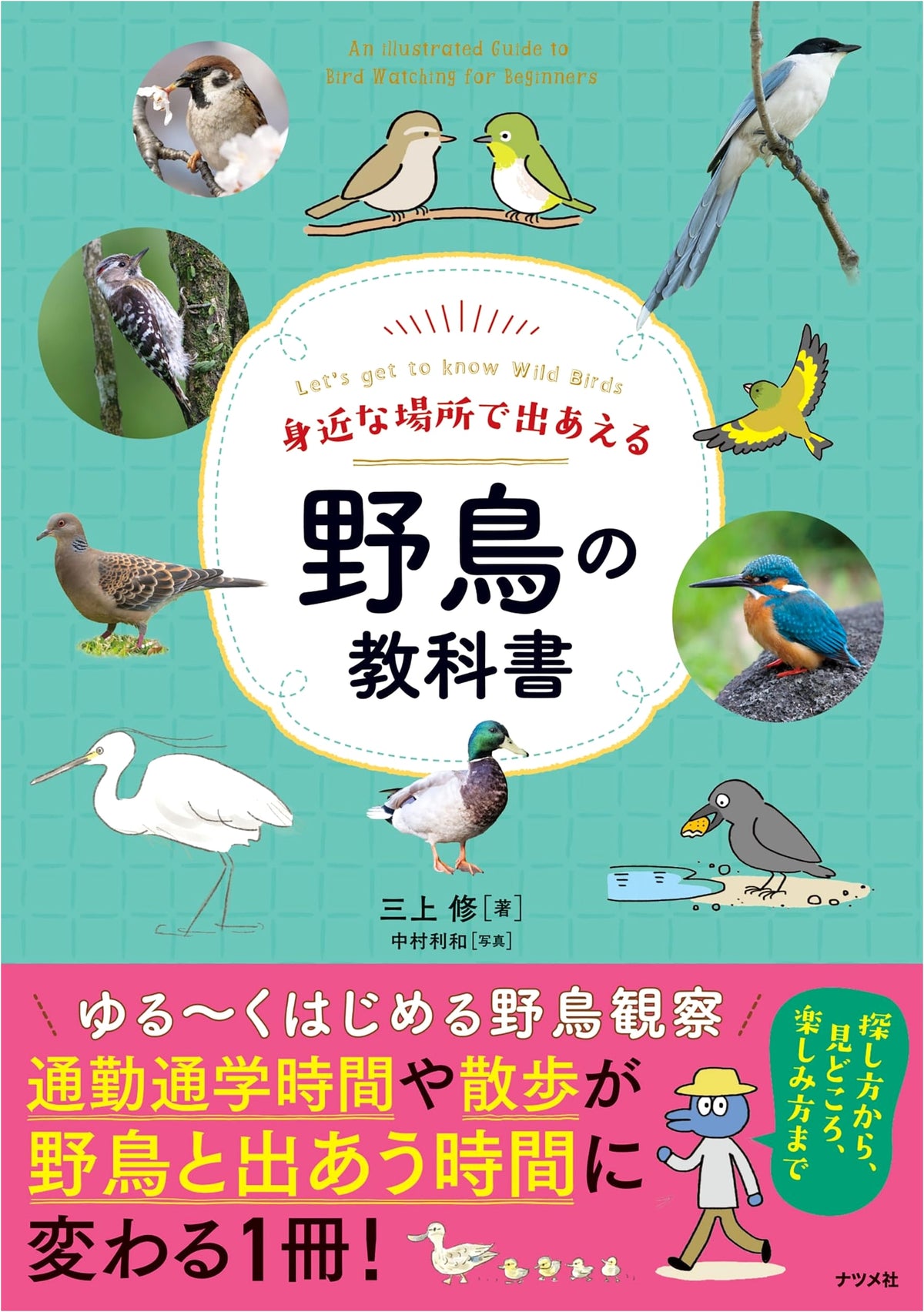 Field Guide to Wild Birds You Can Encounter in Familiar Places