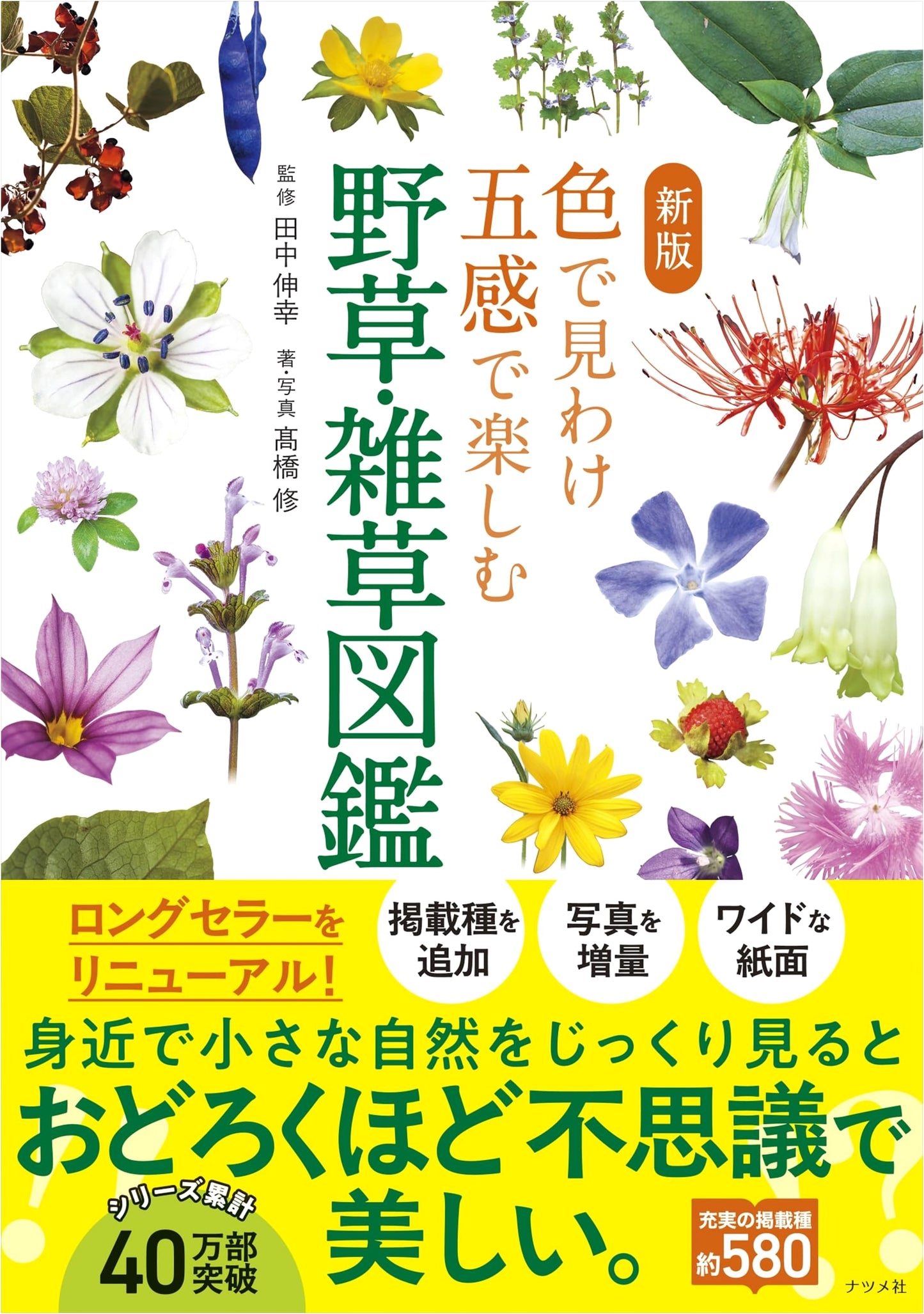 Revised Edition: Wildflower & Weed Guide – Identify by Color, Enjoy with Five Senses