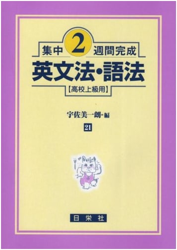 Intensive 2-Week English Grammar & Usage for Advanced High School Students