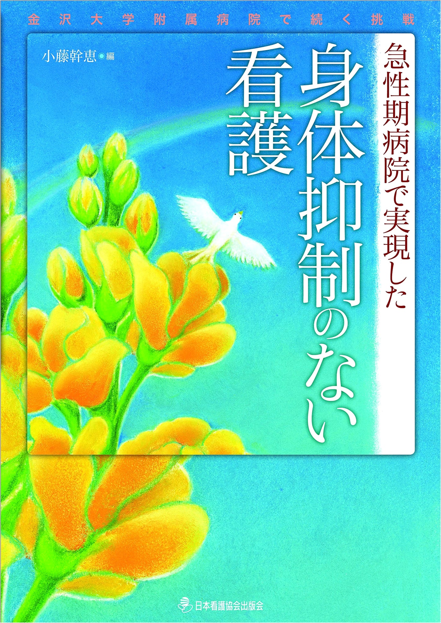Nursing Without Physical Restraints in Acute Care: Kanazawa University Hospital's Ongoing Challenge