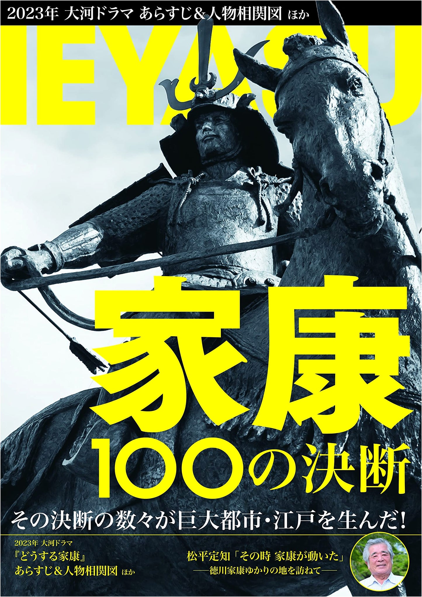 Tokugawa Ieyasu: 100 Pivotal Decisions (NIKKO MOOK)