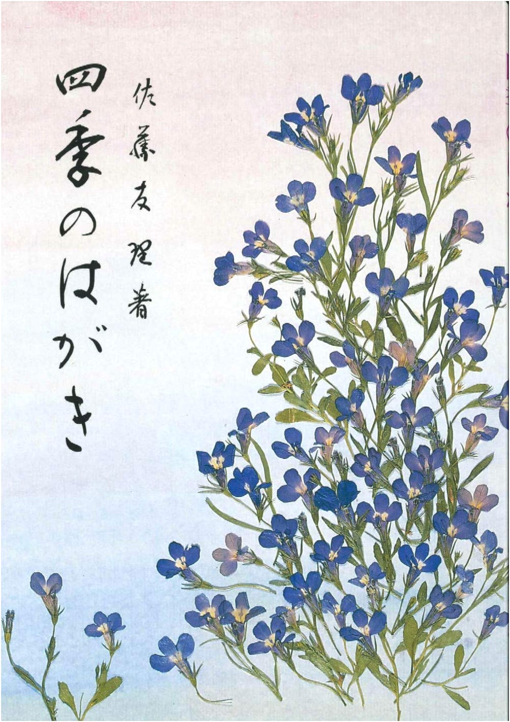 Seasonal Postcards by Yuri Sato