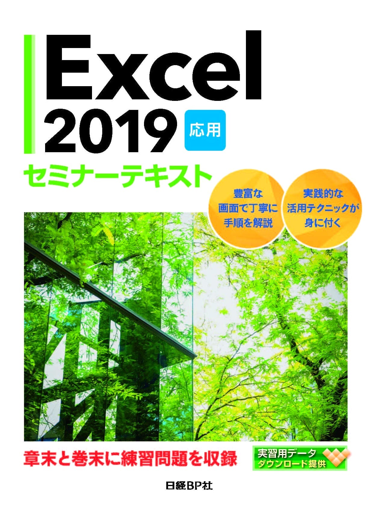 Excel 2019 Advanced Seminar Textbook