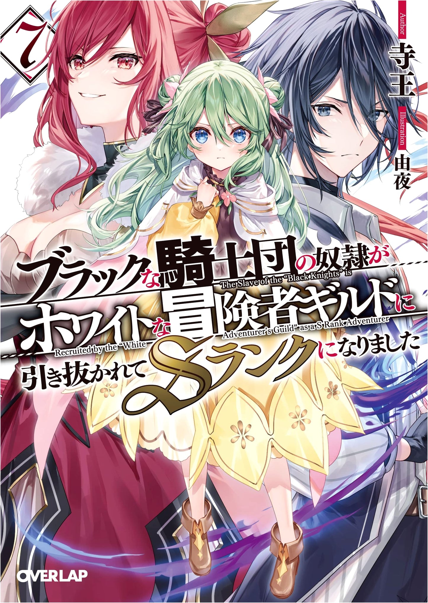 The Slave of a Black Knights' Order Was Pulled into a White Adventurers' Guild and Became an S-Rank, Vol. 7