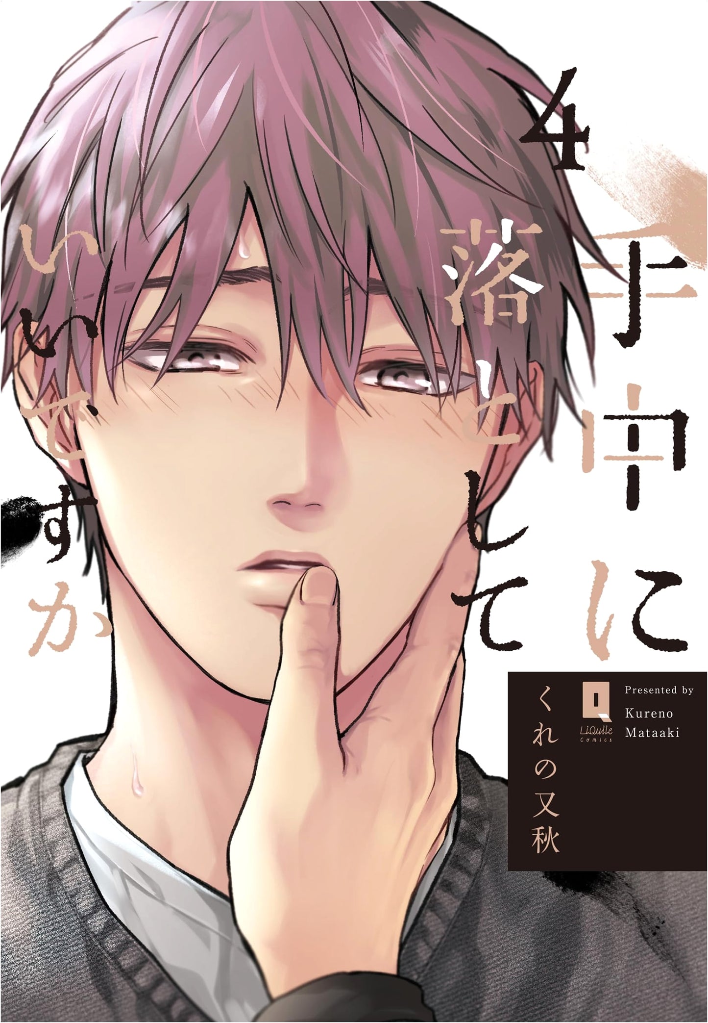 May I Have It in My Hand? Vol. 4 (ReCure Comics)