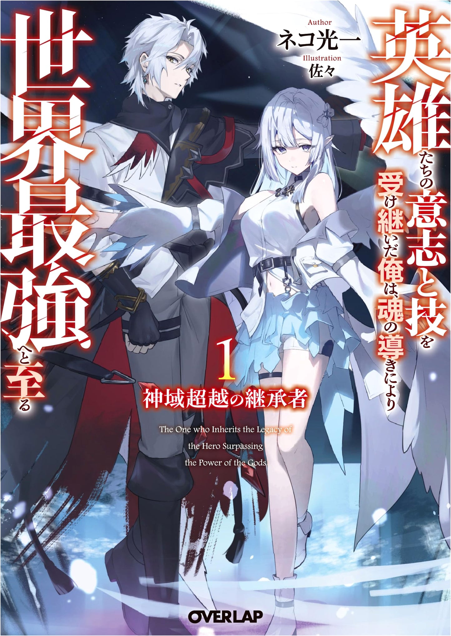 Heir to the Transcendent Divine Realm Vol. 1: Inheriting Heroes' Will to Become the World's Strongest