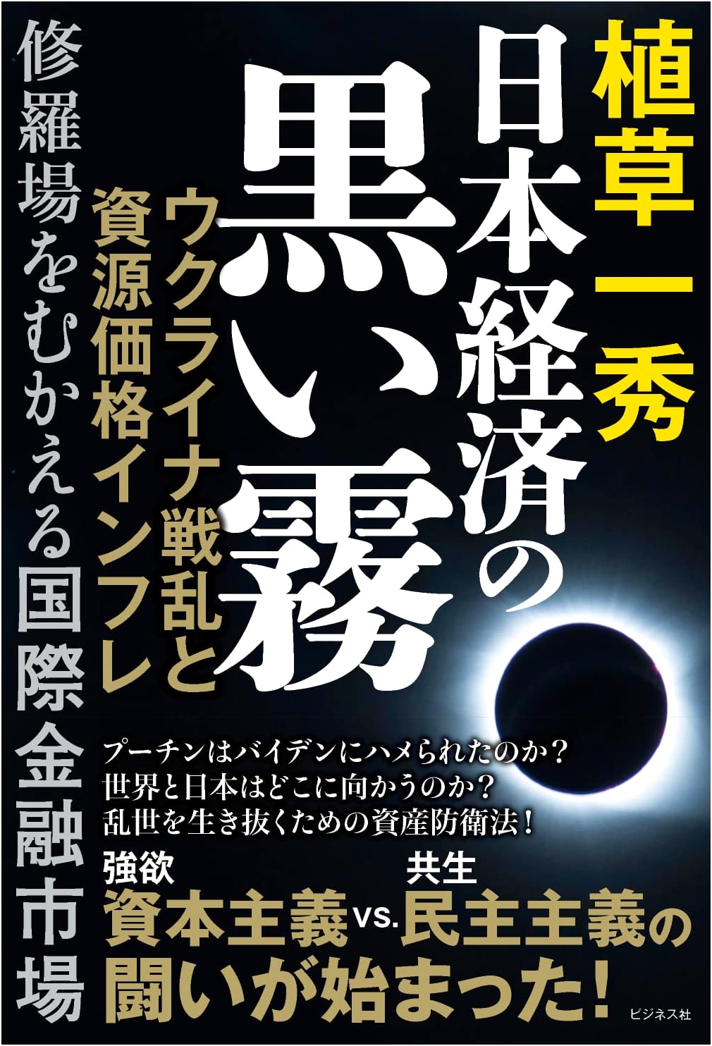 Black Mist Over the Japanese Economy
