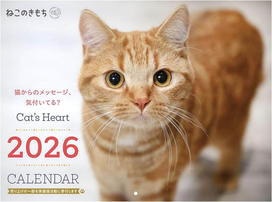 Neko no Kimochi: 2026 Large Format Cat Calendar