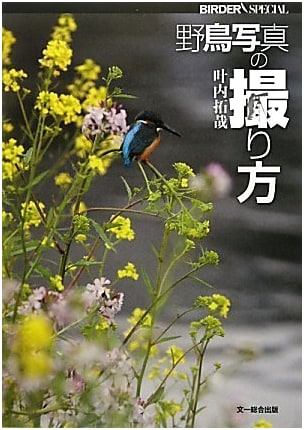 How to Photograph Wild Birds (BIRDER Special)