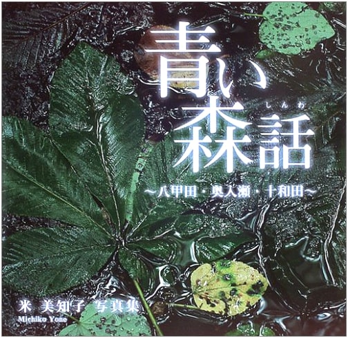 Aomori Story: Hakkoda, Oirase, Towada: Photographs by Michiko Yone