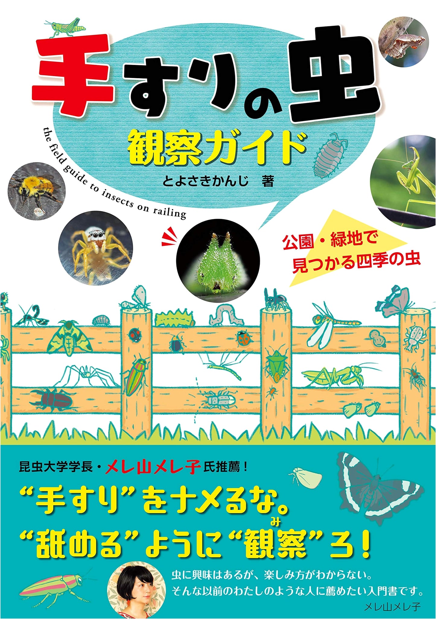 Handrail Insect Guide: Seasonal Observations in Parks & Green Spaces