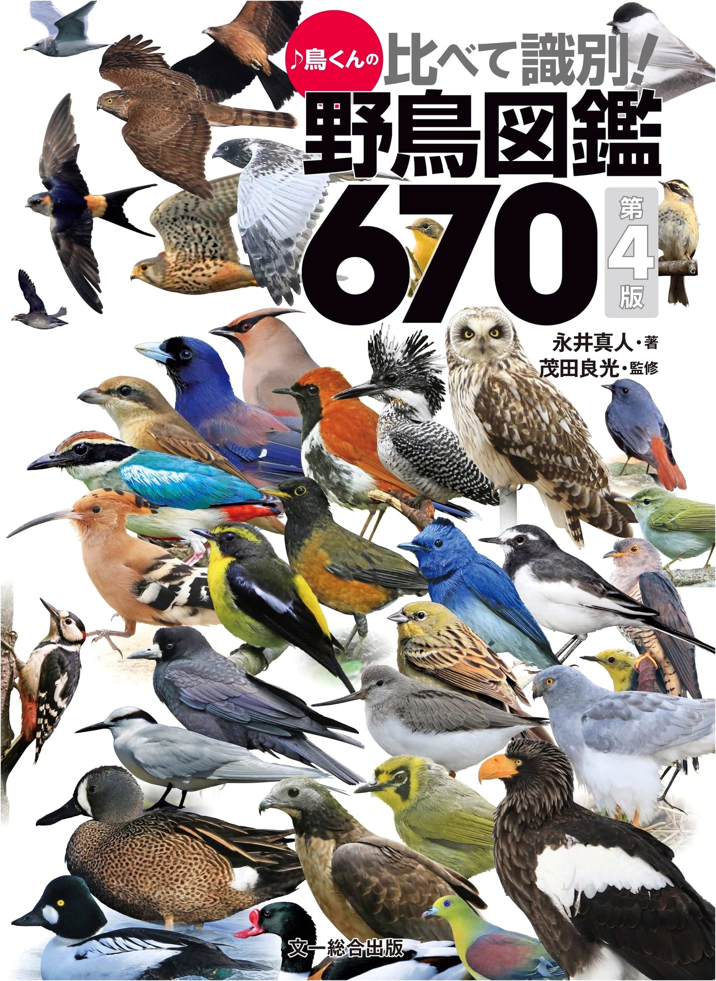 Bird-kun's Comparative Identification! Wild Bird Field Guide 670, 4th Edition