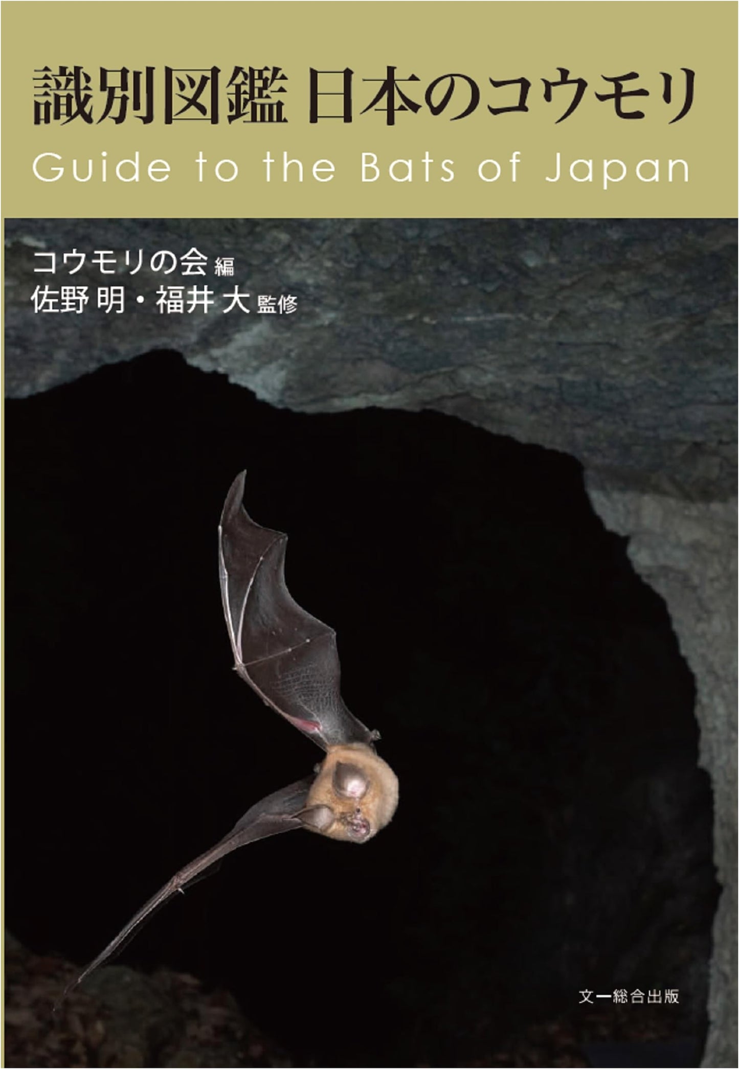 Japanese Bat Identification Guide: An Illustrated Field Guide