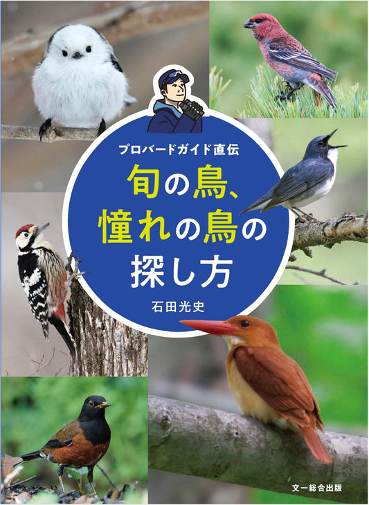 How to Find Seasonal and Dream Birds: Professional Bird Guide's Secrets
