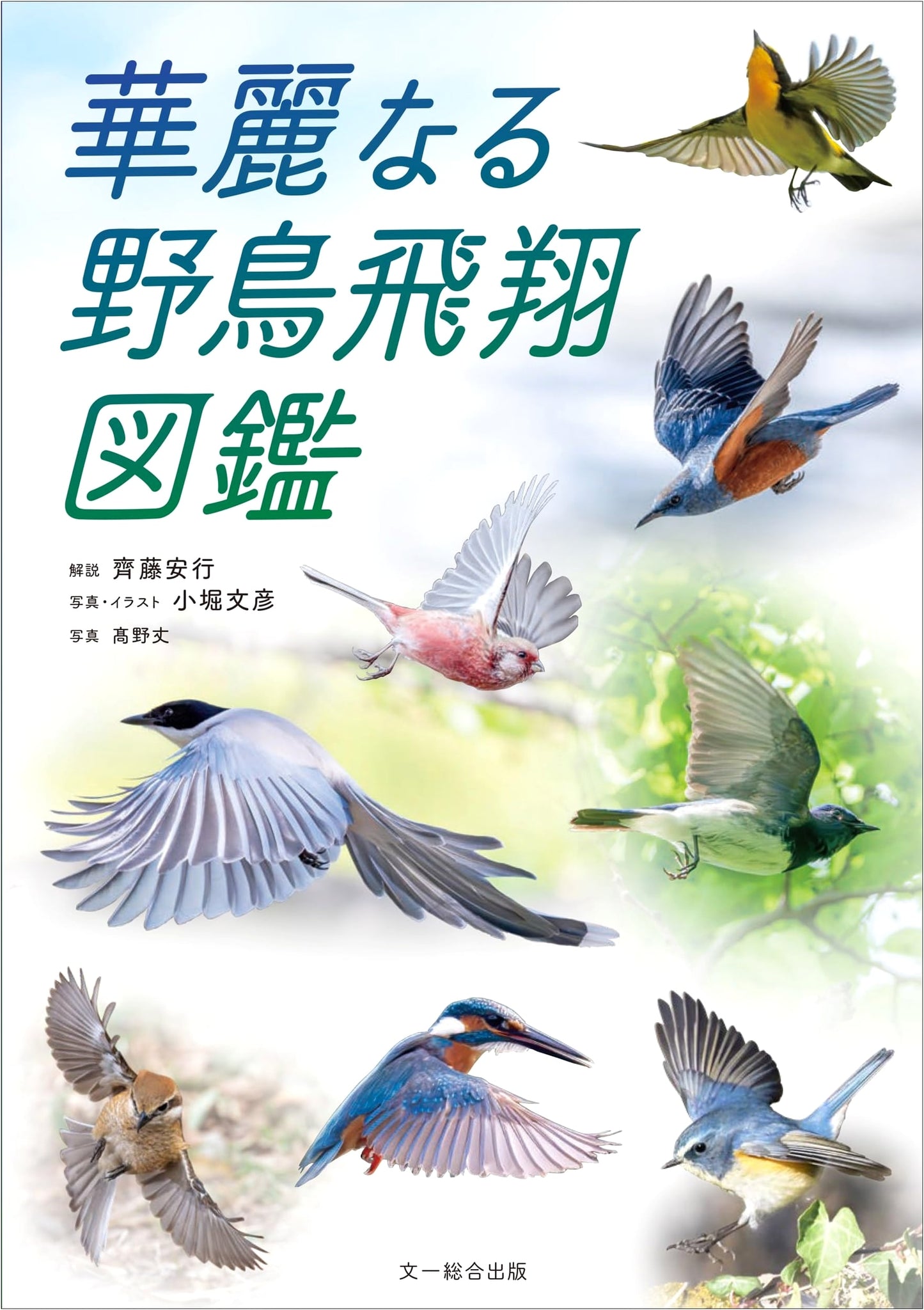 Magnificent Wild Birds in Flight Encyclopedia