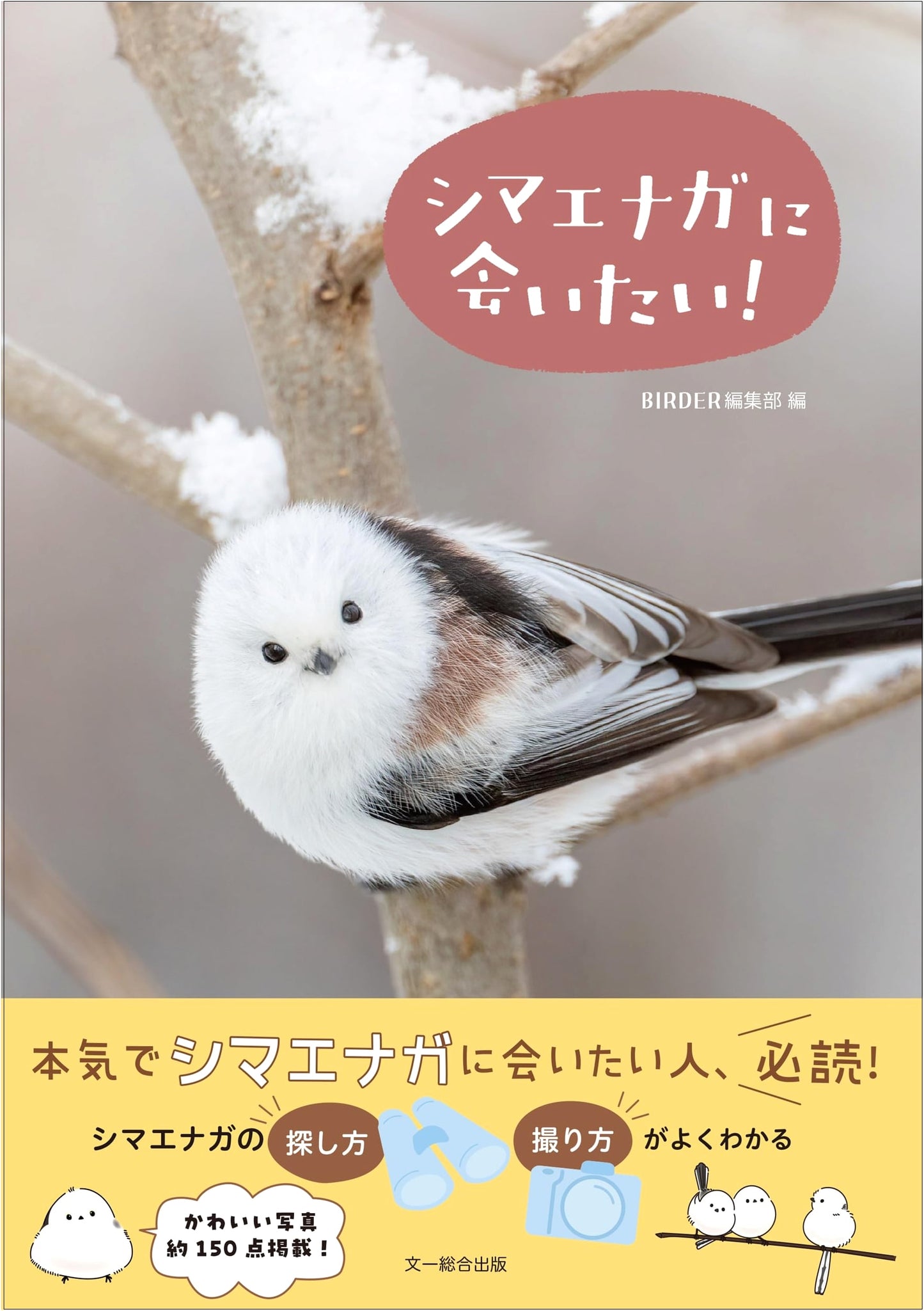 I Want to Meet the Long-tailed Tit!