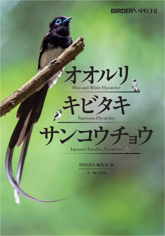 Blue-and-white, Narcissus, and Japanese Paradise Flycatchers: BIRDER Special