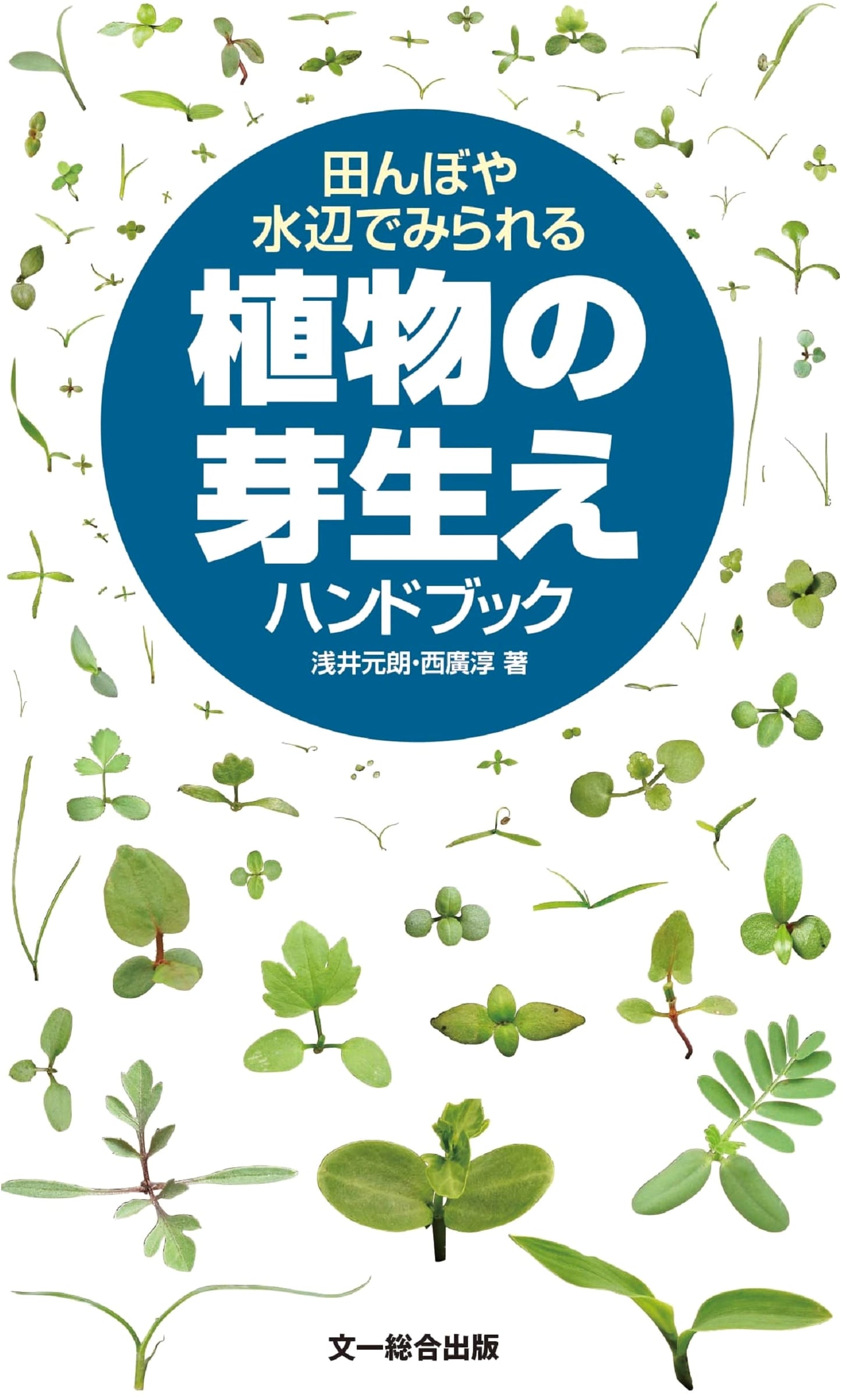 Field Guide to Seedlings: Plants of Rice Paddies & Watersides