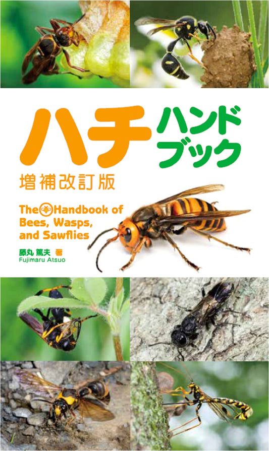 The Bee and Wasp Handbook: Revised and Expanded Edition