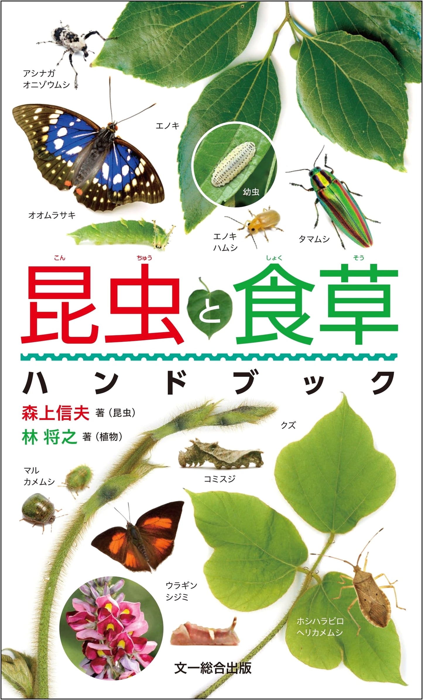 Insect and Food Plant Handbook