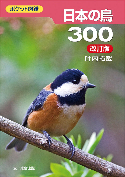 300 Birds of Japan: Revised Pocket Illustrated Guide