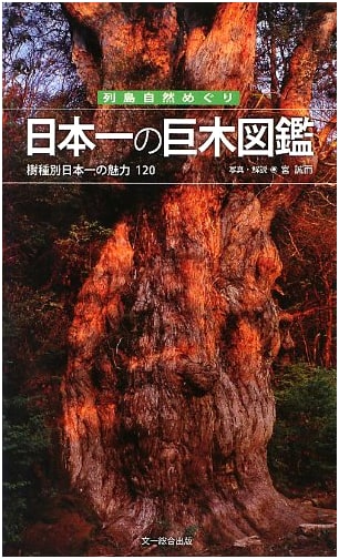 Japan's Giant Trees: An Illustrated Guide to 120 Species and Their Charms