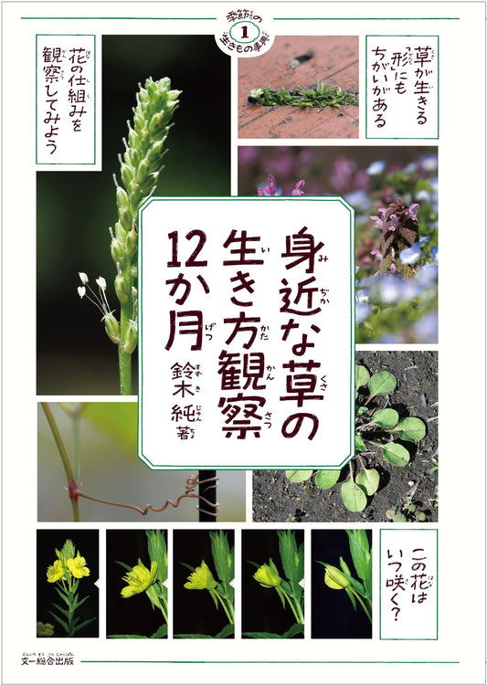 12 Months of Observing Common Weeds: A Seasonal Nature Guide (Vol. 1)