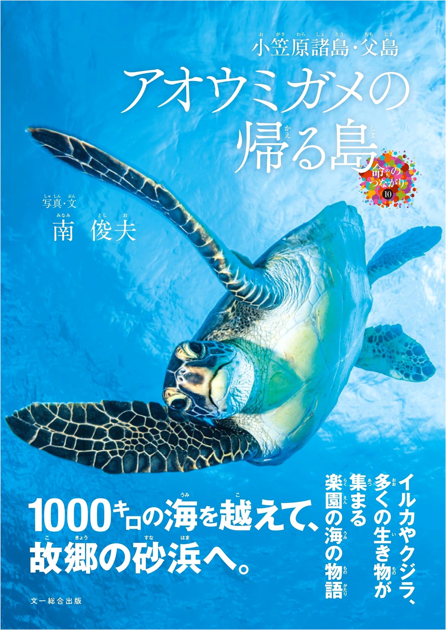 Ogasawara Islands & Chichijima: The Return of Green Sea Turtles (Life Connections 10)