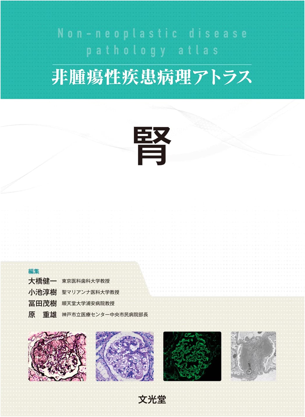 Kidney: Pathology Atlas of Non-Neoplastic Diseases