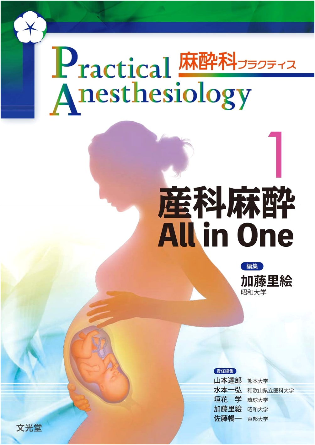 Obstetric Anesthesia All in One (Anesthesia Practice 1)