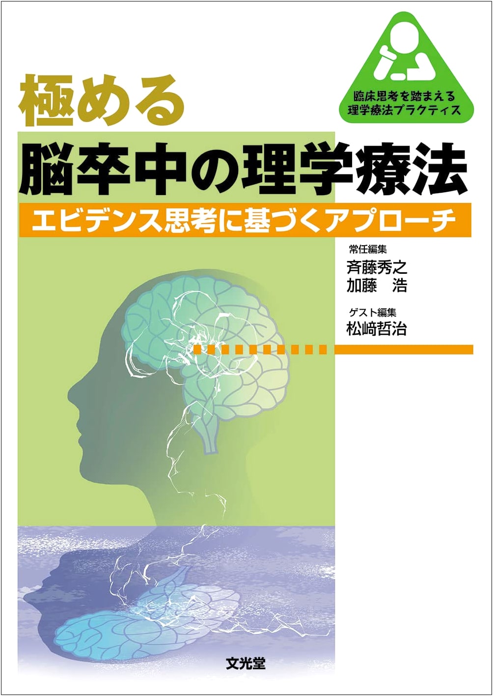 Mastering Stroke Physical Therapy (Clinical Thinking in Physical Therapy Practice)