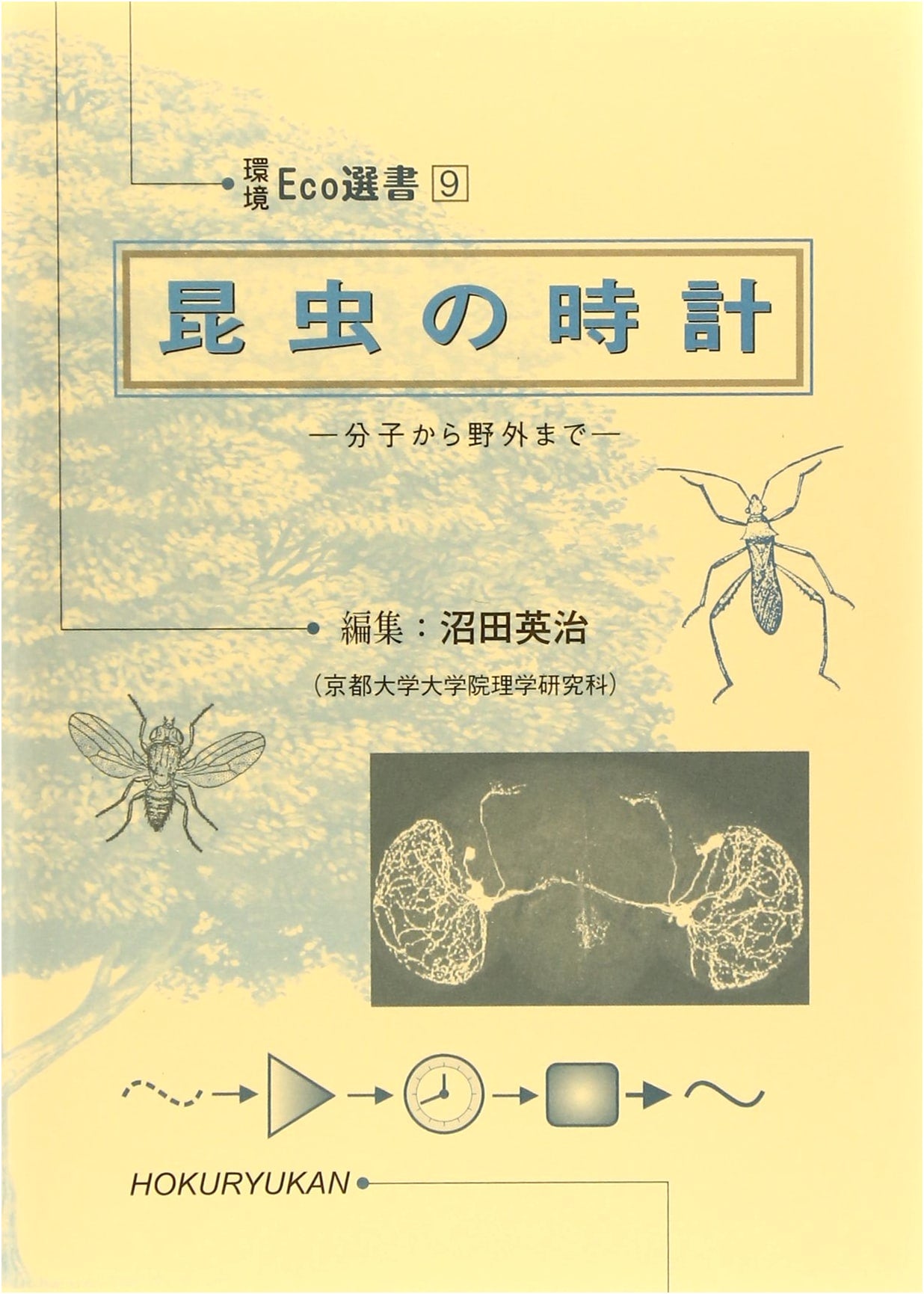 Insect Clocks: From Molecules to the Field (Environmental Eco Selection 9)