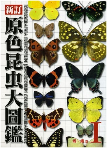 Full-Color Insect Encyclopedia Vol. 1: Butterflies & Moths - Revised Edition