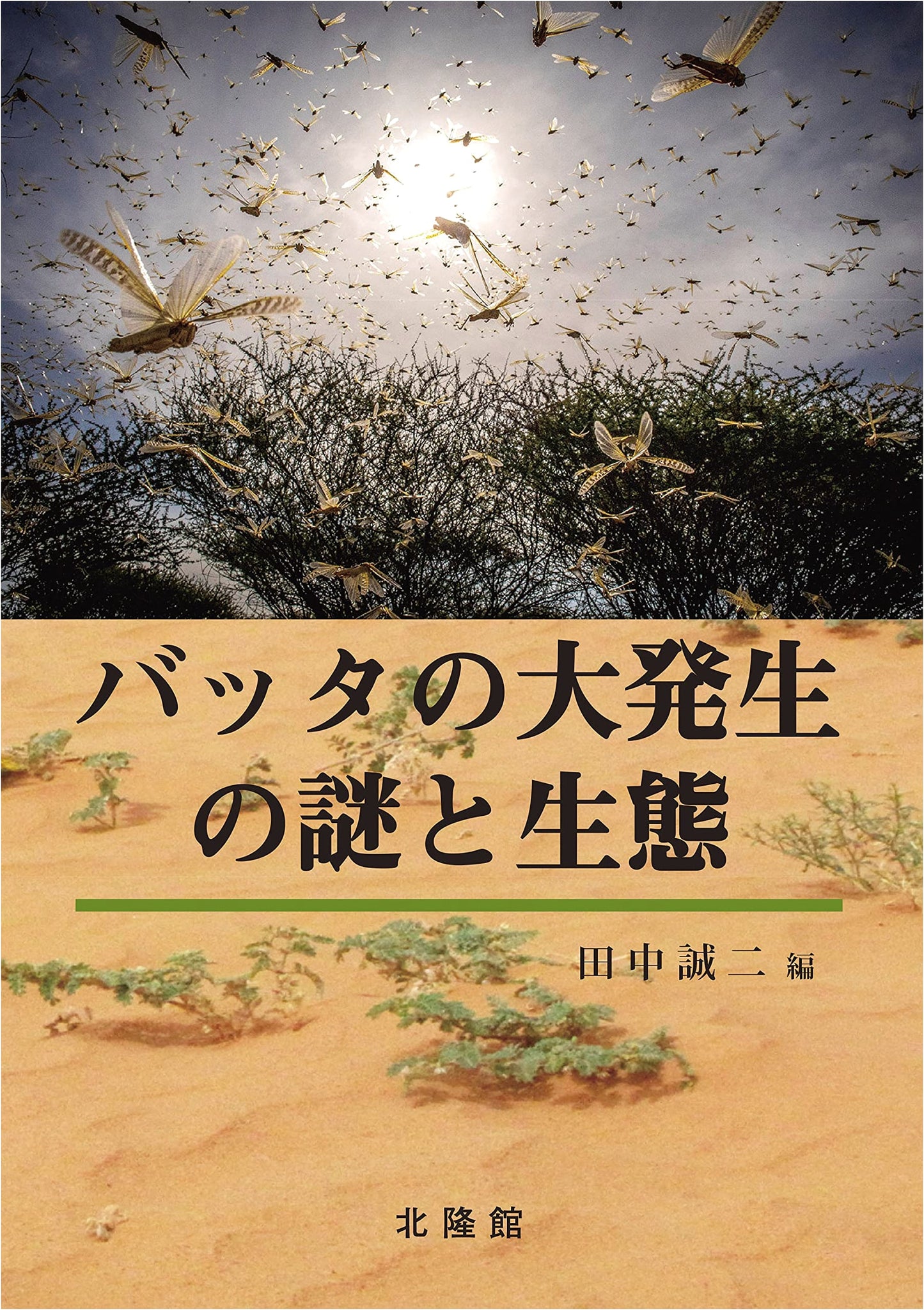 The Mystery and Ecology of Locust Outbreaks