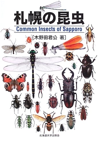 Insects of Sapporo