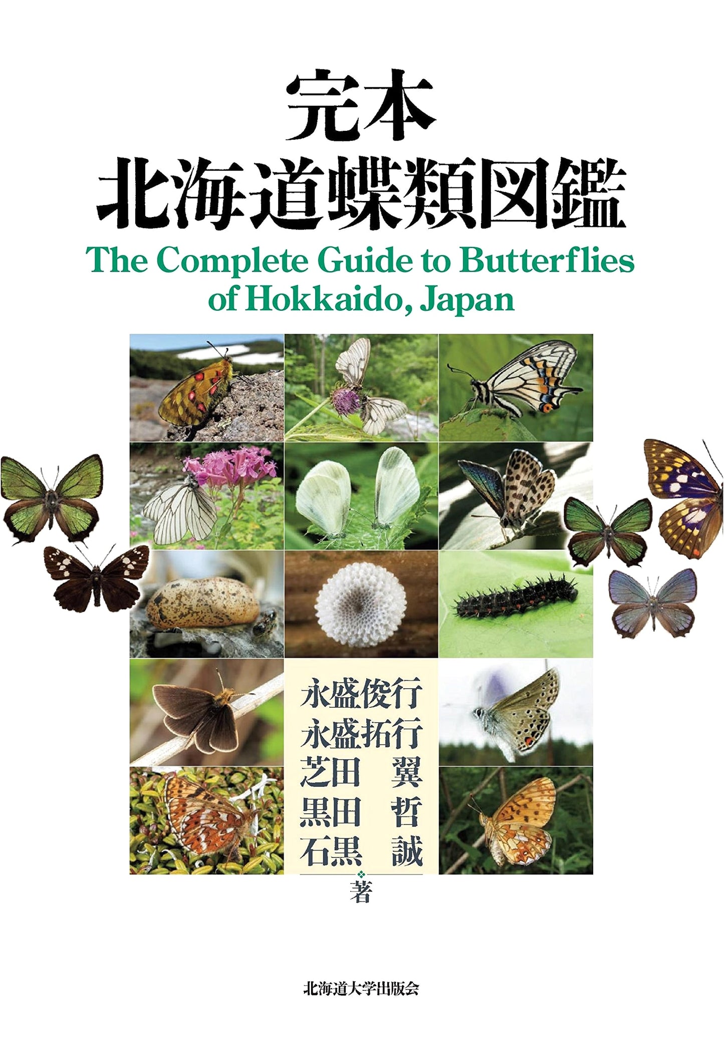 Complete Guide to Hokkaido Butterflies