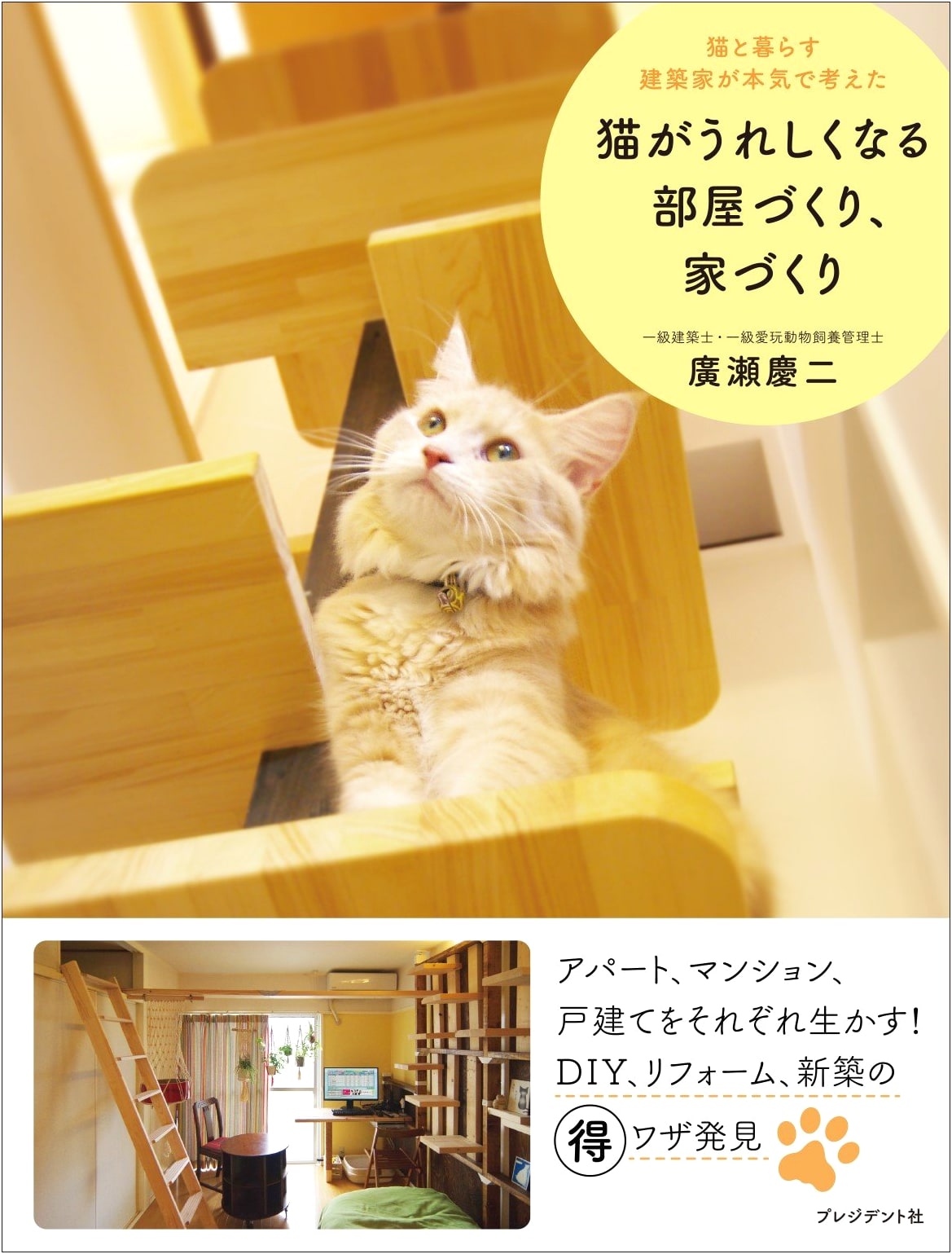 Cat-Friendly Home Design: Creating Joyful Spaces for Your Feline Friends