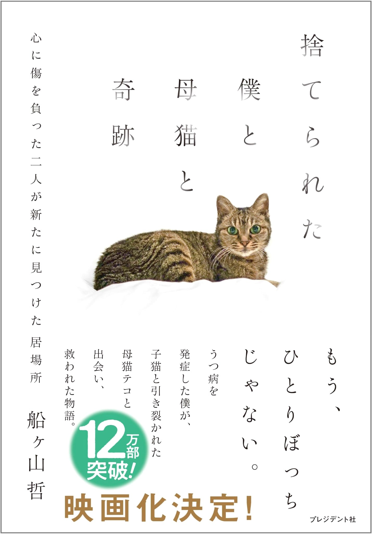 Abandoned Me, a Mother Cat, and a Miracle by Satoshi Funagayama