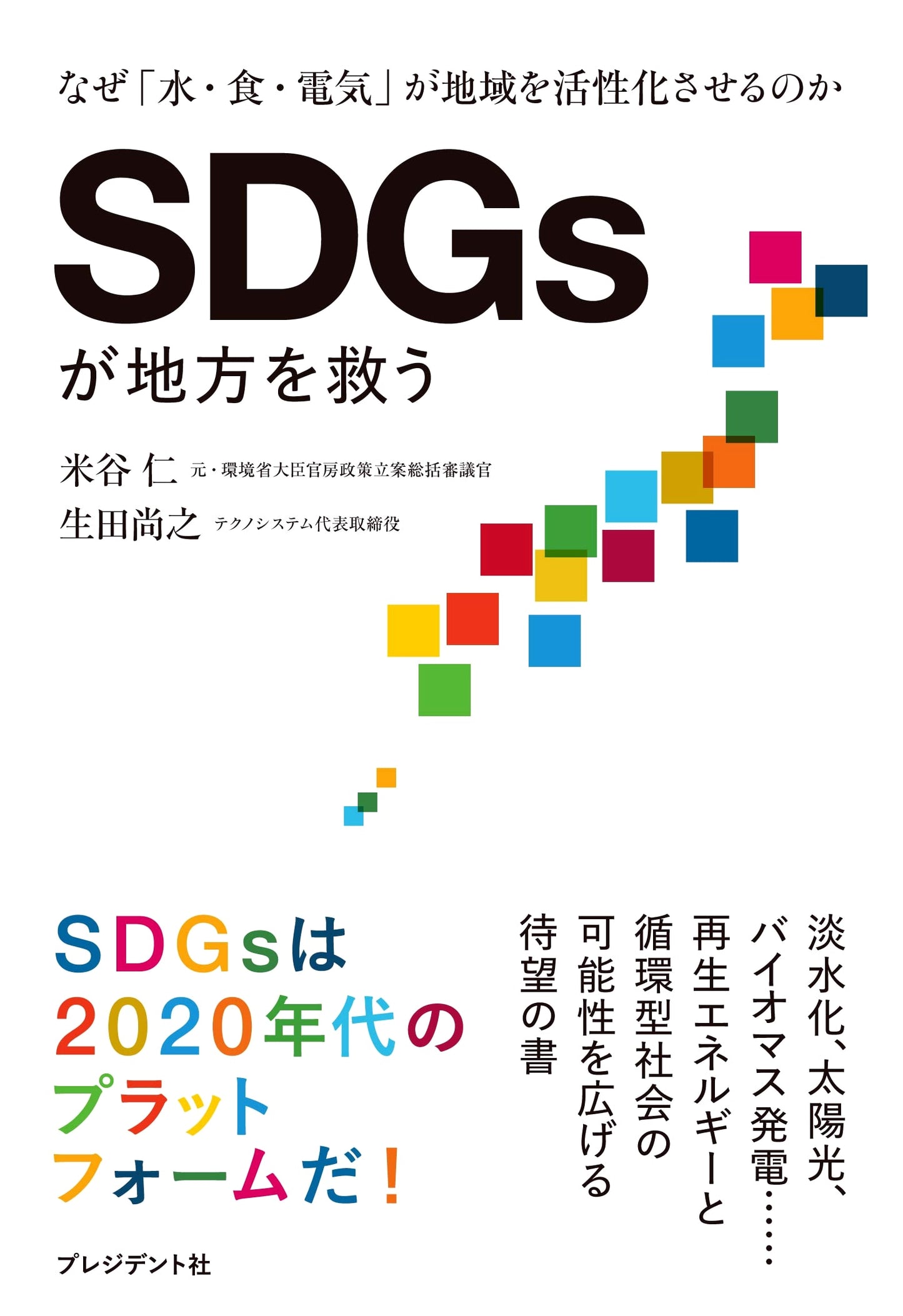 How SDGs Can Save Local Japan: Revitalizing Regions with Water, Food, and Electricity