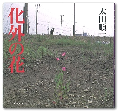 Flowers Beyond Civilization by Junichi Ota