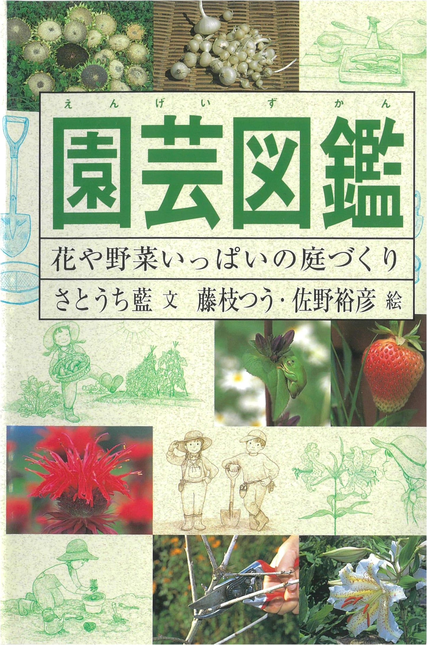 Gardening Illustrated: Crafting a Vibrant Garden of Flowers and Vegetables