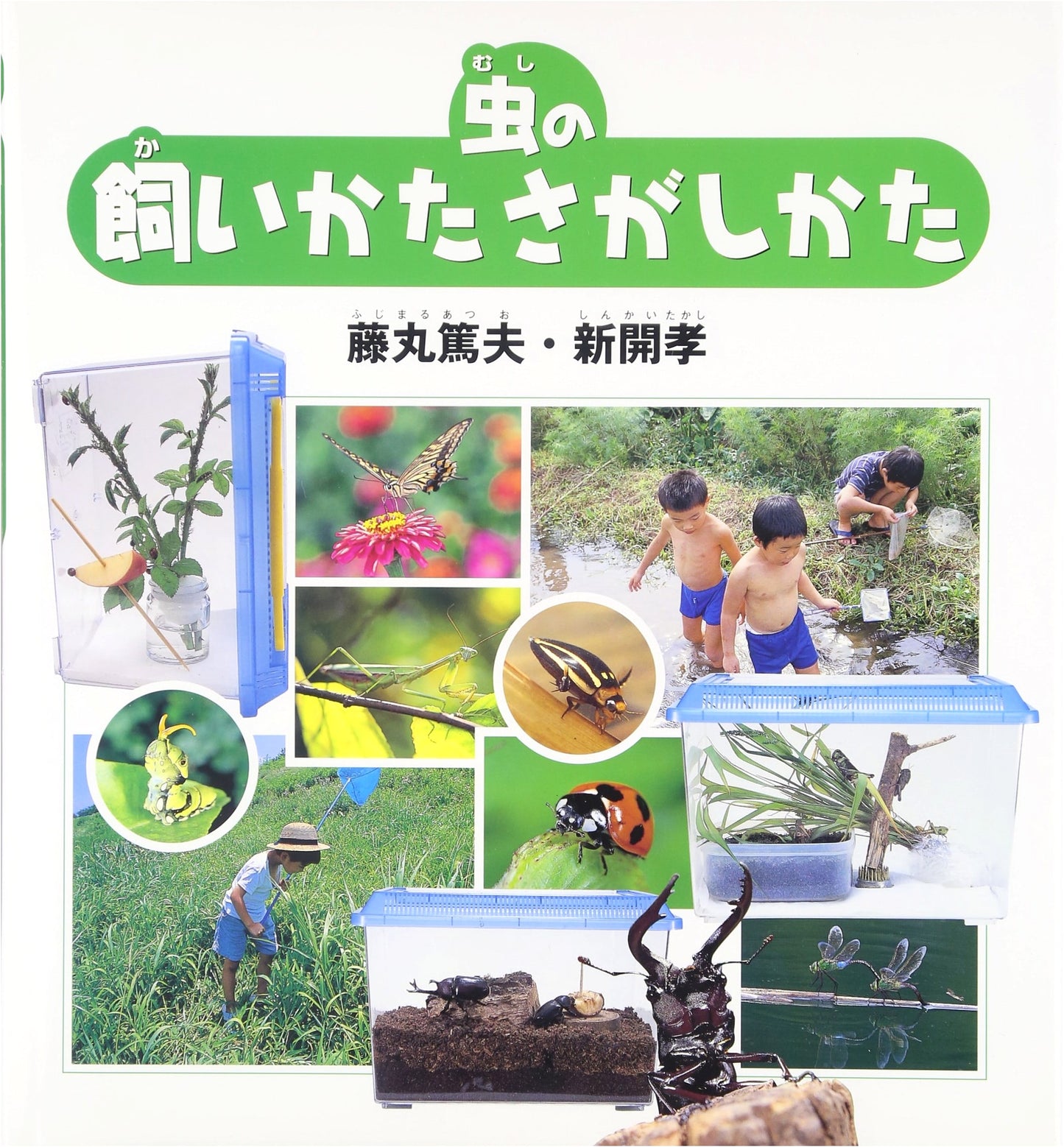 How to Raise and Find Insects (Mushi no Kaikata Sagashikata)