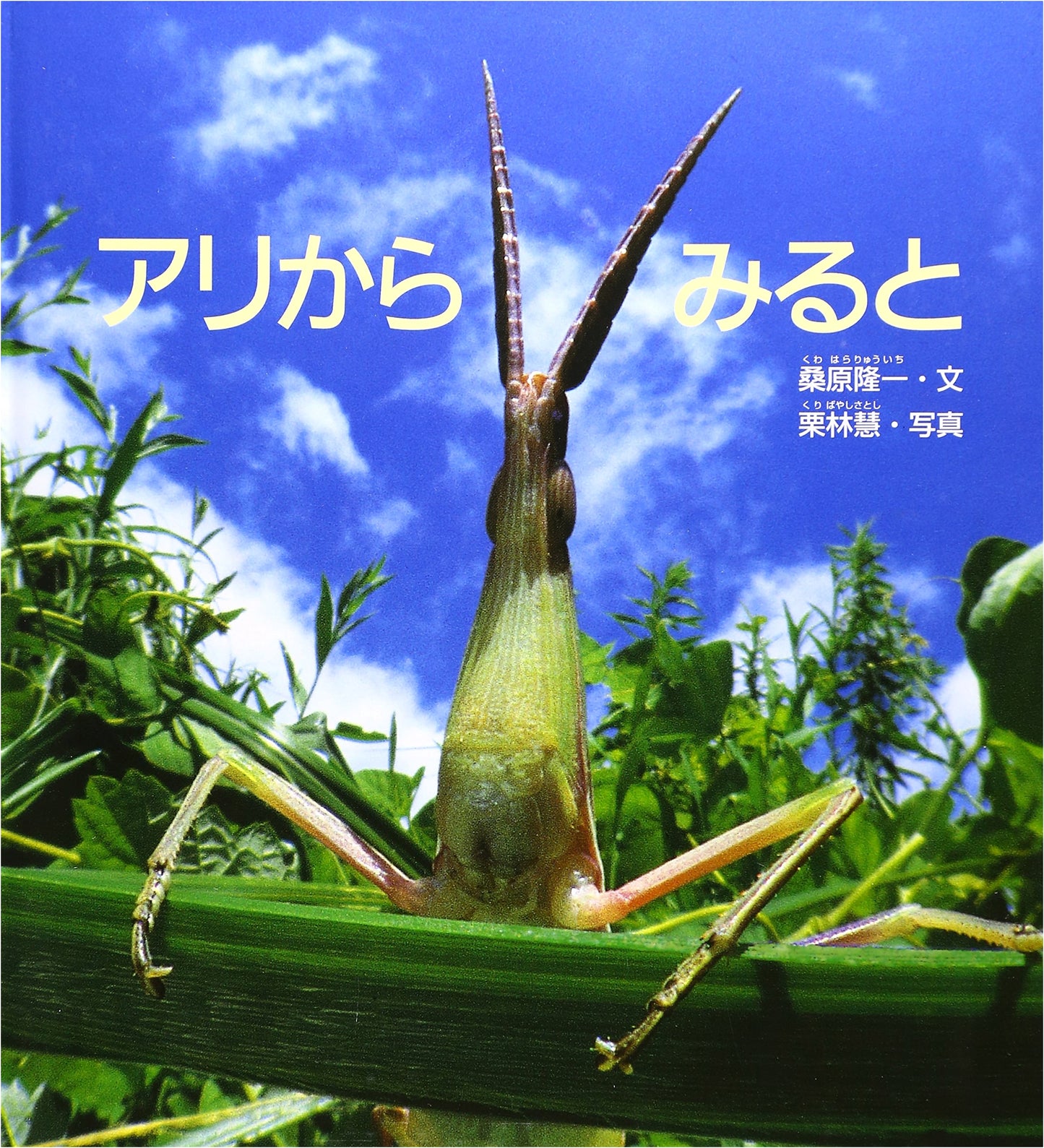 From an Ant's Viewpoint by Ryuichi Kuwahara